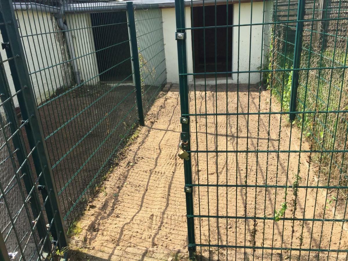Ferienwohnung Neustrelitz Bagian luar foto